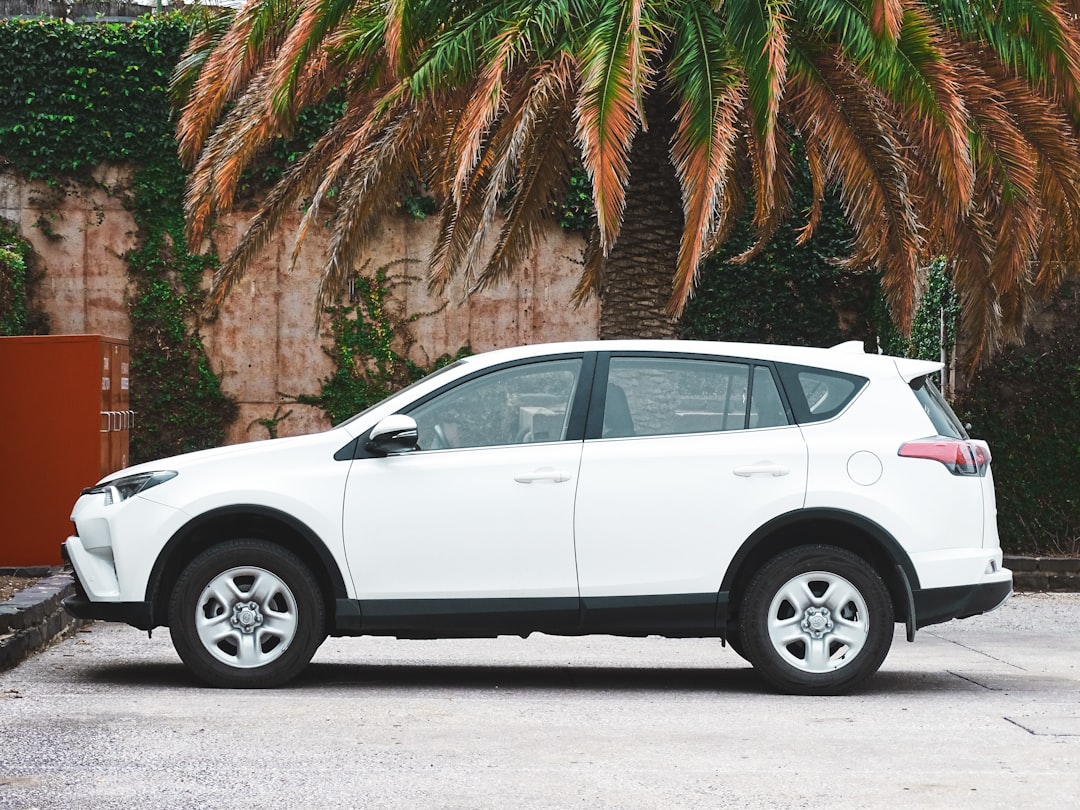 About white-suv-parked-near-palm-tree-during-daytime-gvmsgzkx8em